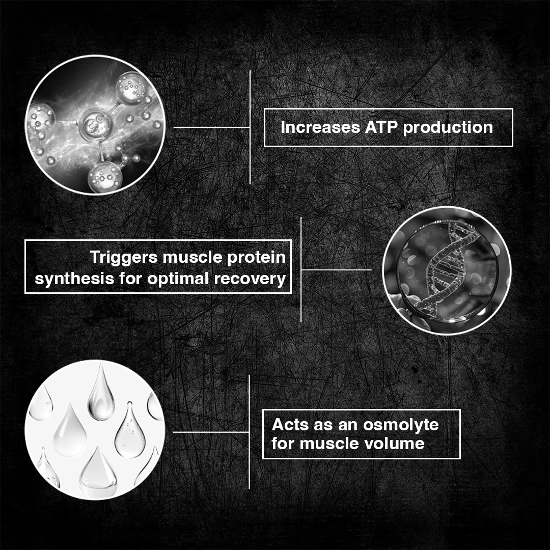 SuperrHumans Creatine Monohydrate (319g, 100 servings)